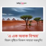 এ এক অবাক বিস্ময়, বিরল বৃষ্টিতে ভিজল সাহারা মরুভূমি!