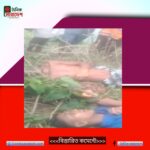 নেত্রকোনার মোহনগঞ্জে বজ্রপাতে ছাত্র ও কৃষকের মৃত্যু