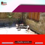 মোহনগঞ্জে পরিত্যক্ত ঘর থেকে অজ্ঞাত ব্যক্তির জ*বাই করা লাশ উদ্ধার