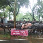সিলেটে ৪৮ বিজিবি কর্তৃক ১ কোটি ১০ লক্ষ টাকার চোরাই পণ্য আটক