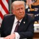 trump 67aebffb111da 80x80