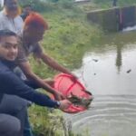 রাঙ্গামাটিতে মাছের পোনা অবমুক্তকরণ