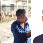 দোয়ারাবাজারে প্রবাসীর জমি দখল করে আ.লীগ নেতা মিলন খাঁনের গরুর খামার