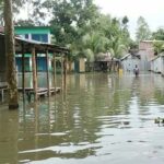 তিস্তার পানি বৃদ্ধি শত শত পরিবার পানি বন্দী 