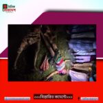 রংপুরের তারাগঞ্জে চোর সন্দেহে গণপিটুনি জামাই শশুর নিহত