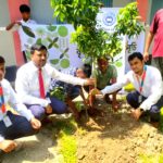 পলাশবাড়ীর গৃধারীপুর আদর্শ উচ্চ বিদ্যালয়ে সিটি ব্যাংকের বৃক্ষরোপণ কর্মসূচি-