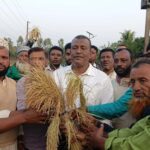 সুনামগঞ্জ-৪ আসনে ধানের শীষের সম্ভাব্য প্রার্থী এড. নুরুল ইসলানের নেতৃত্বে রঙ্গারচর ইউনিয়নে দিনব্যাপী লিফলেট বিতরণ