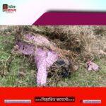 দোয়ারাবাজার সীমান্তে ২৪ ঘন্টার ব্যবধানে দু’জনের লাশ উদ্ধার 