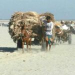 তিস্তাপারের মানুষের স্পষ্ট দাবি, যারা নদীভাঙন রোধে স্থায়ী পদক্ষেপ নেবে, ভোট পাবে তারাই