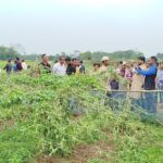 দোয়ারাবাজারে চুরির সাক্ষী দেওয়ার জেরে বৃদ্ধকে ফাঁসানোর অভিযোগ, শিশুকে নিয়ে ধর্ষণচেষ্টা মামলা ও ফসল লুটপাট
