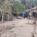 ধানের চারা কাটা নিয়ে সংঘর্ষে নিহত ১, আহত ১৫