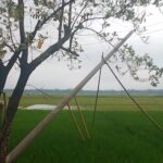 দোয়ারাবাজারে পল্লী বিদ্যুতের উদাসীনতা: ২ মাস ধরে হেলে থাকা ৪ খুঁটি, ভেঙে পড়ায় আতঙ্কে কৃষক-পথচারী