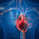 human heart with blood vessels 80x80