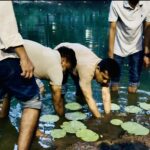 তারেক রহমানের উদ্যোগে ধানমন্ডি লেকে কমল-শাপলার চারা রোপণ করলেন ছাত্রদল নেতা প্রিন্স।